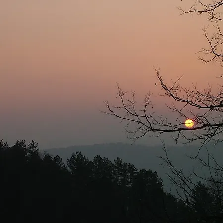 Selvapiana Alloggio per agriturismo *