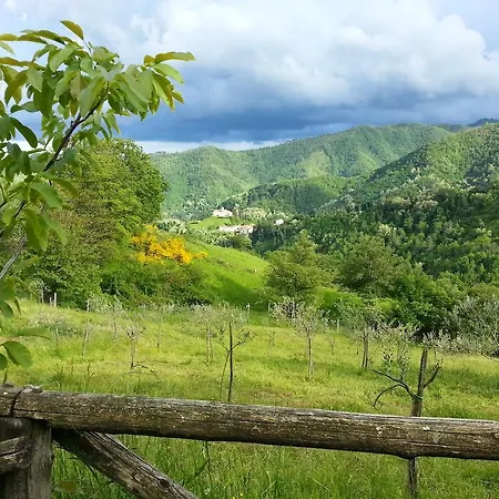 Selvapiana Alloggio per agriturismo