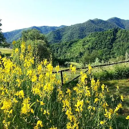 Farma Selvapiana *